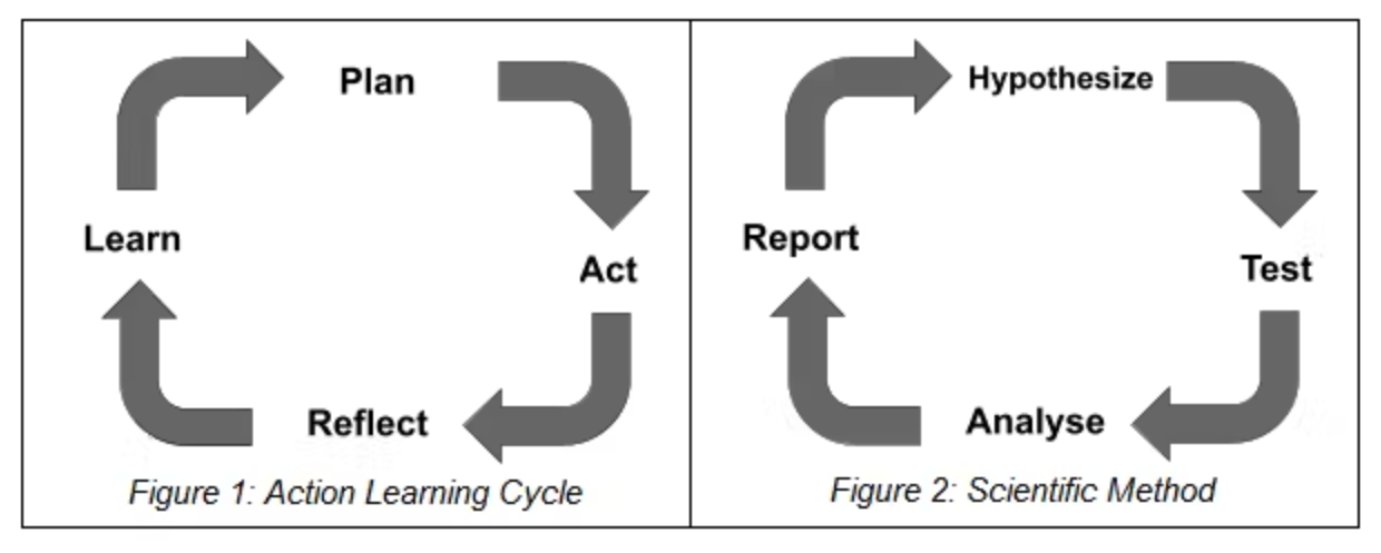 Action learning cycle